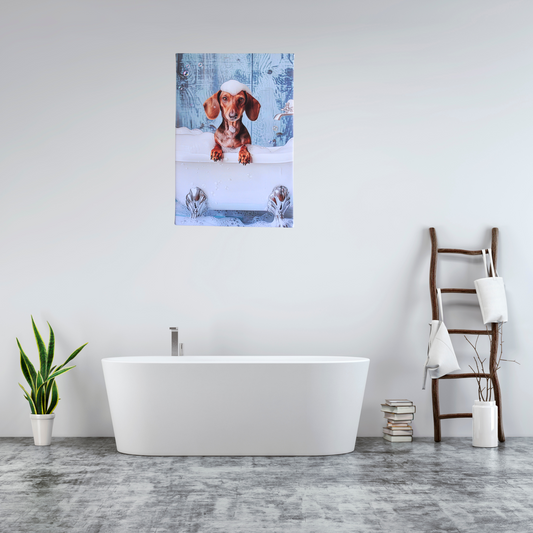 Bathtime for This Dachshund